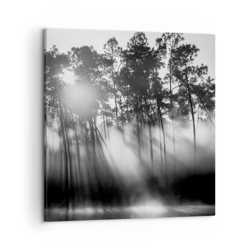 Obraz na plátně - Nezastavitelné slunce - 50x50 cm