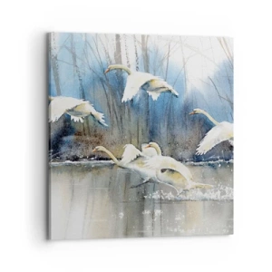 Obraz na plátně - Jako v povídce o divokých labutích - 70x70 cm