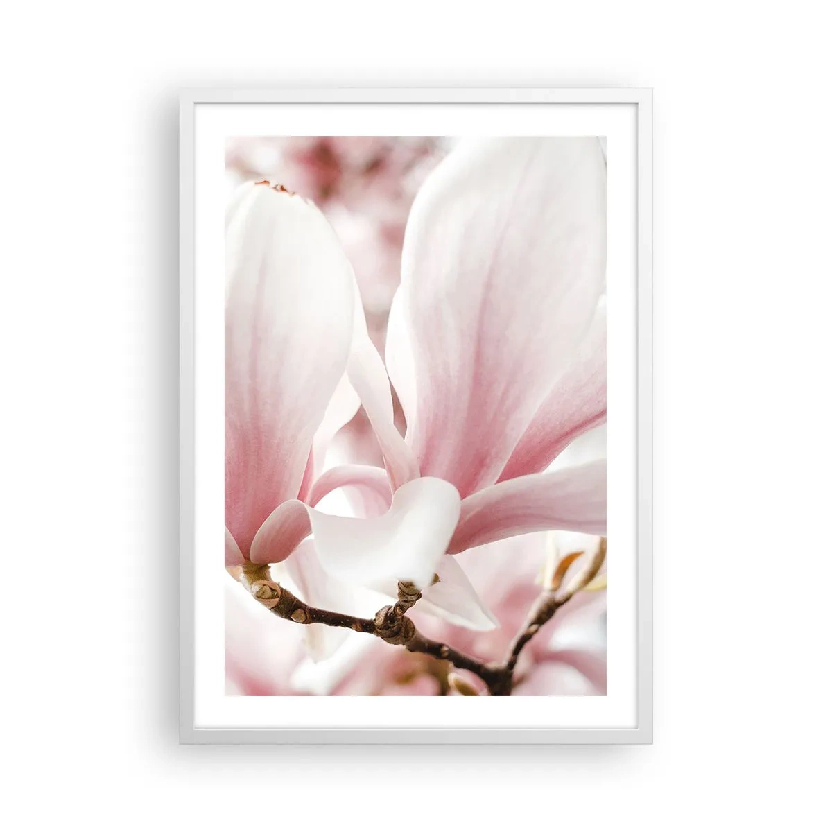 Plakát v bílém rámu - Nesmírnost něžnosti - 50x70 cm