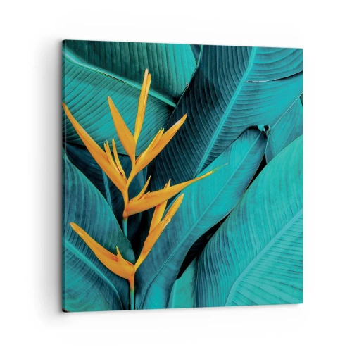 Obraz na plátně - Rajský květ - 50x50 cm