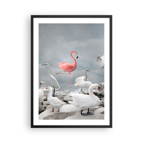 Plakát v černém rámu - Růžový plameňák obklopený bílými ptáky proti obloze - 50x70cm - Kde jsem se tu vzal? - Moderní nástěnná dekorace do obývacího pokoje a ložnice ARTTOR