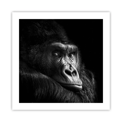 Plakát - Na co tak koukáš? - 50x50 cm