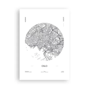 Plakát - Anatomie Osla - 70x100 cm
