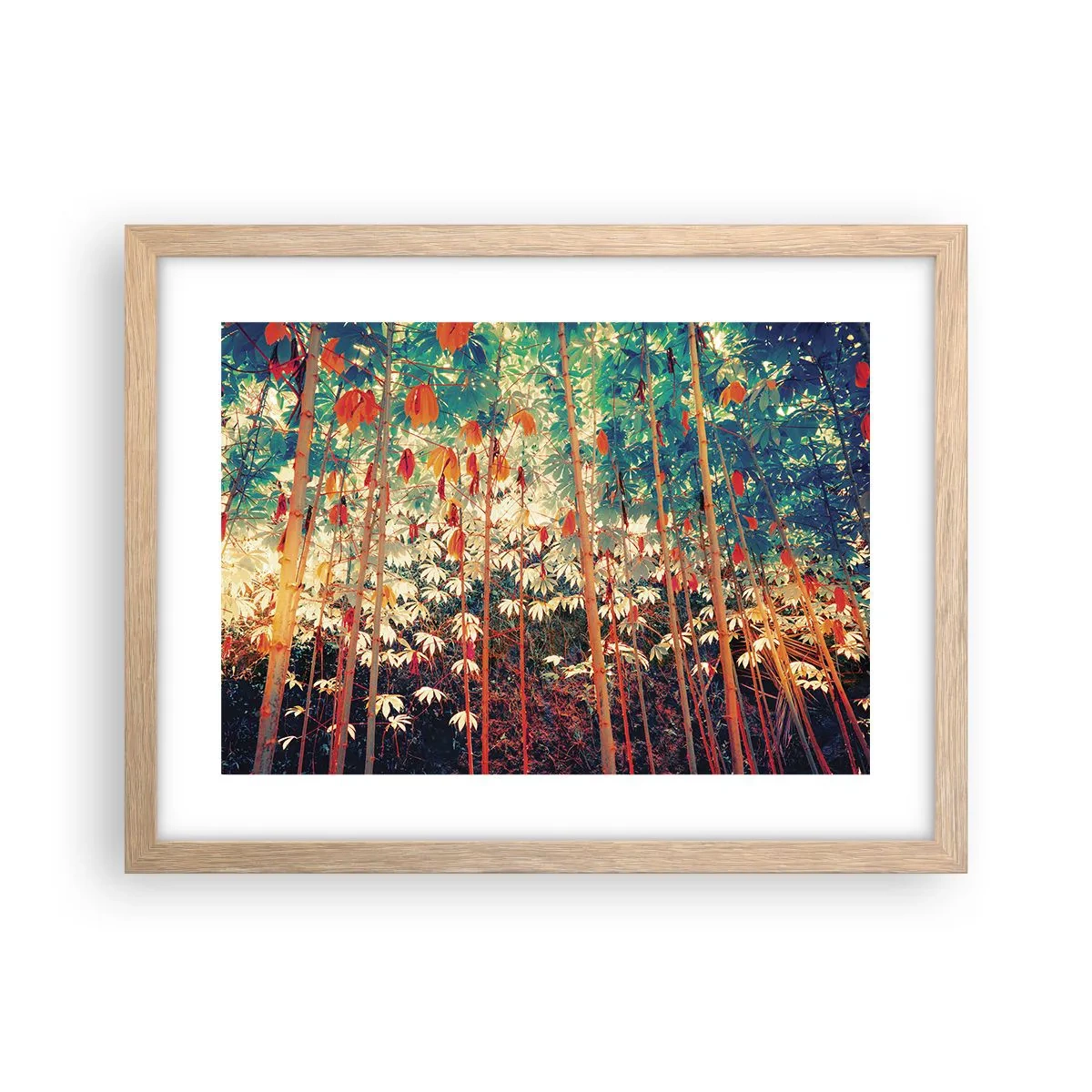 Plakát v rámu světlý dub - Tajný život listů - 40x30 cm