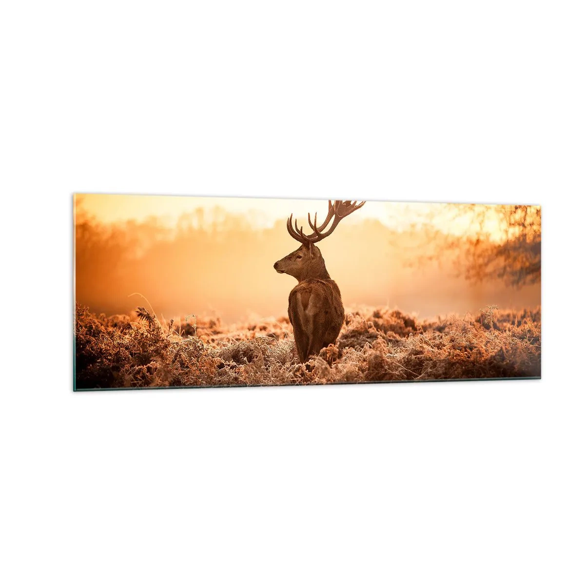 Obraz na skle - Pán na panství - 140x50 cm