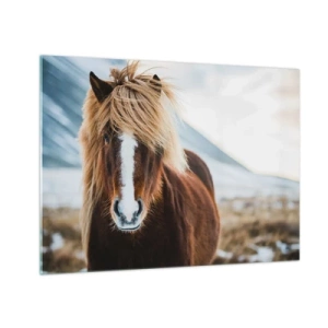 Obraz na skle - Kůň proti horské krajině v zimě - 70x50cm - Cítíš svobodu? - Moderní nástěnná dekorace do obývacího pokoje a ložnice ARTTOR