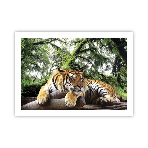 Plakát - S úctou - 70x50 cm