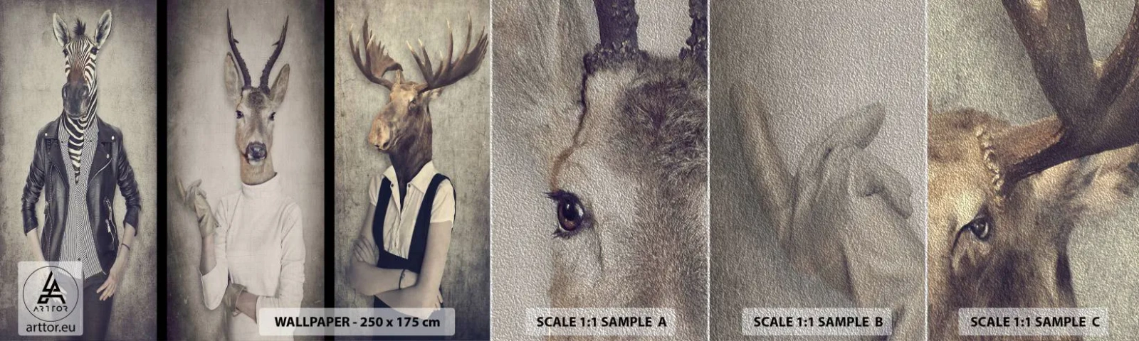 Vzor Fototapety Premium Sand - Ať promluví gesta - Abstrakce, Fantazie, Žebra - 100x30 cm