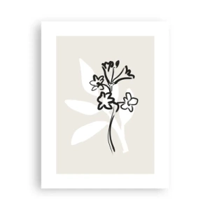 Plakát - Náčrtek pro herbář - 30x40 cm