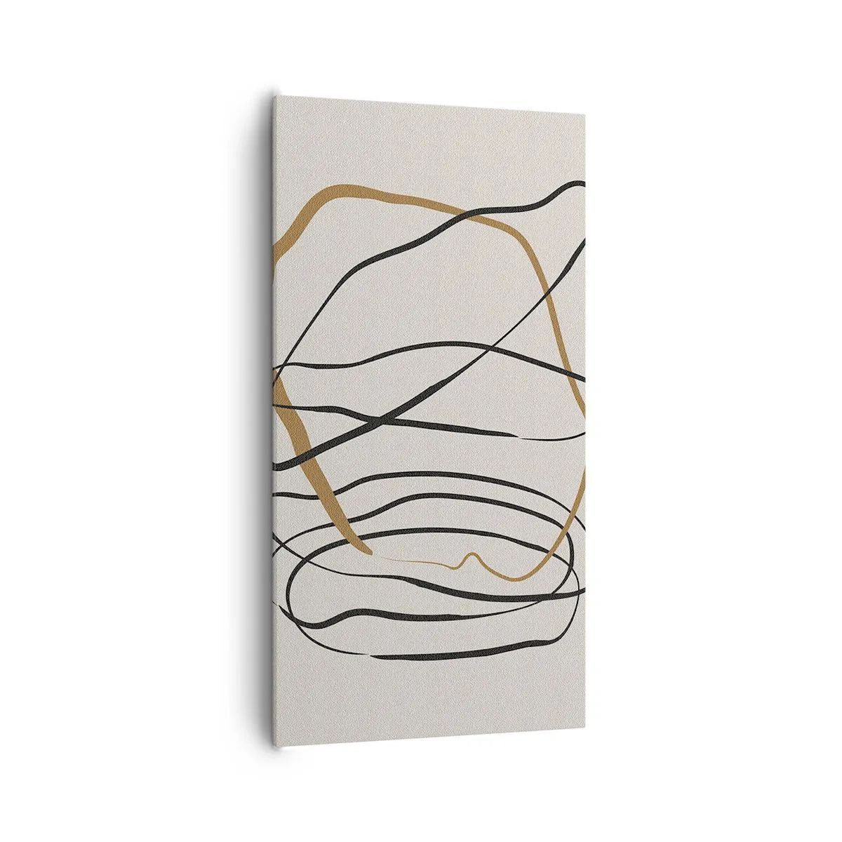 Obraz na plátně - Kompozice – tanec ve smyčce - 65x120 cm