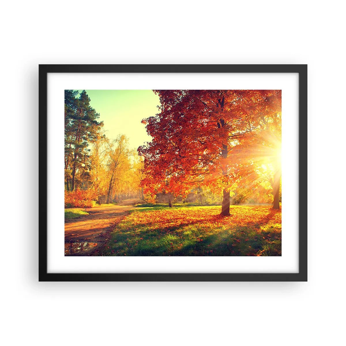 Plakát v černém rámu - Rudé je krásné - 50x40 cm