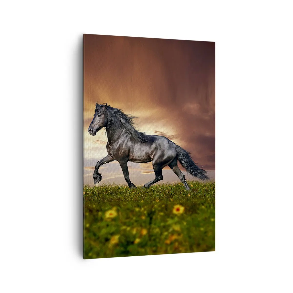 Obraz na plátně - Černý kníže - 80x120 cm