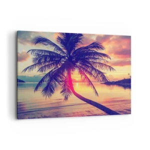 Obraz na plátně - Večer pod palmami - 120x80 cm