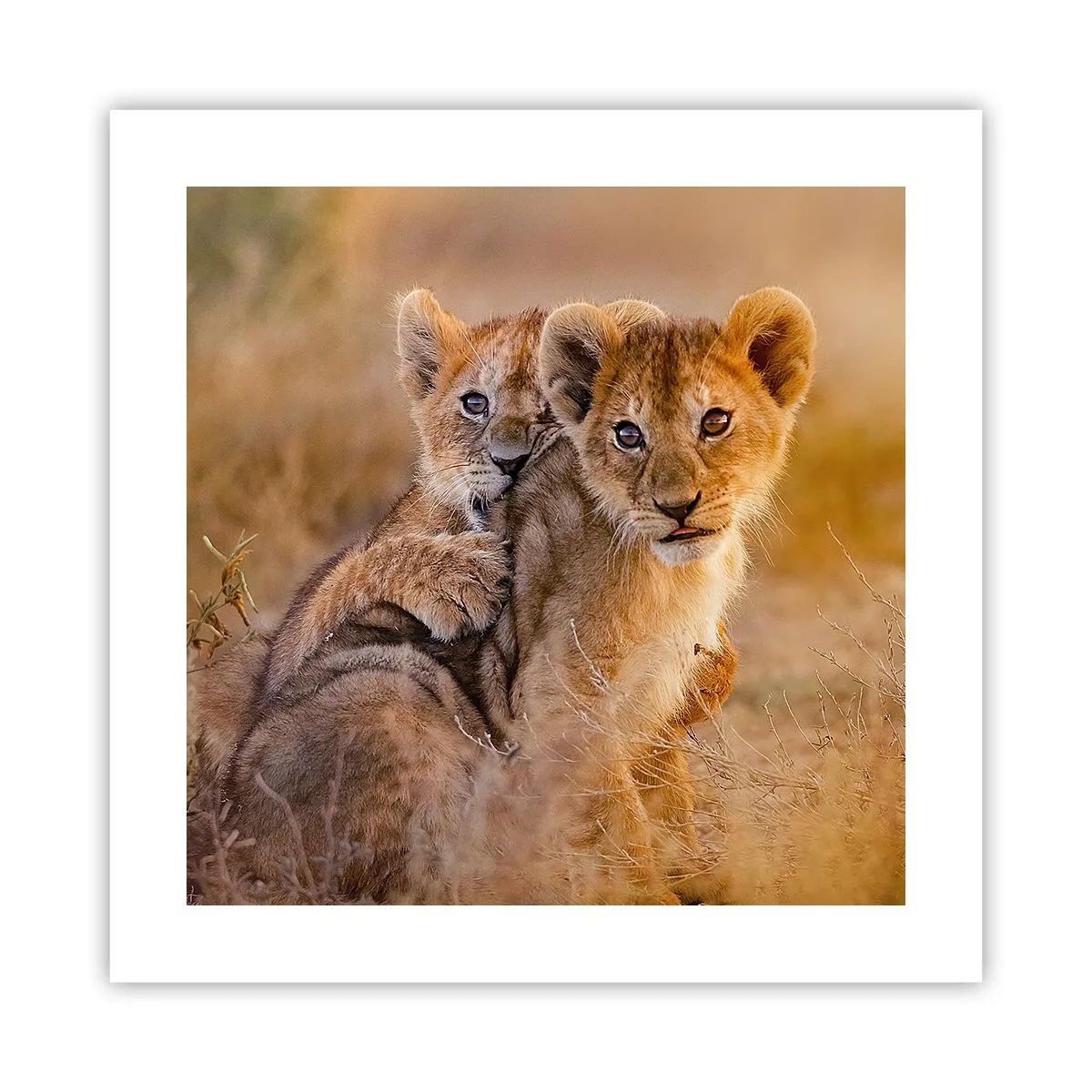 Plakát - Nevyrušovat! Hrajme si - 40x40 cm