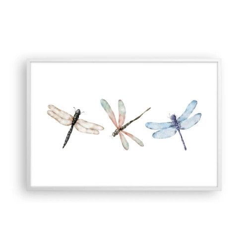 Plakát v bílém rámu - Beztížné vážky - 91x61 cm