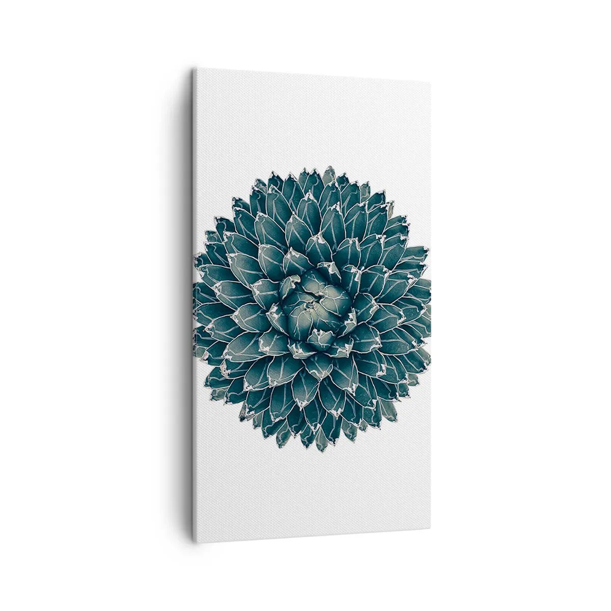 Obraz na plátně - Hvězda pouště - 45x80 cm