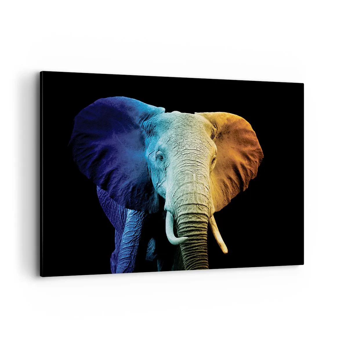 Obraz na plátně - Výstřední muž, ale ne podivín - 100x70 cm