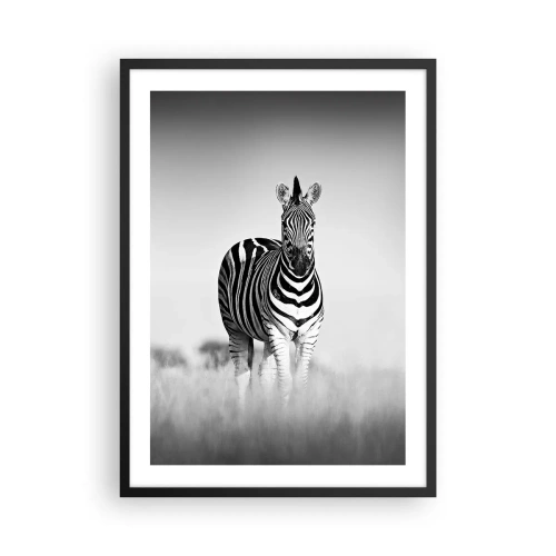 Plakát v černém rámu - Zebra v černobílé kompozici na savaně - 50x70cm - A přesto je svět černo-bílý - Moderní nástěnná dekorace do obývacího pokoje a ložnice ARTTOR