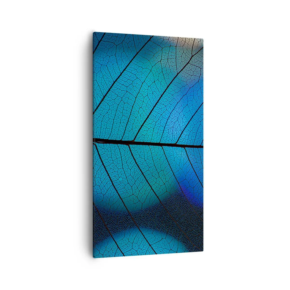 Obraz na plátně - Až do detailů - 55x100 cm