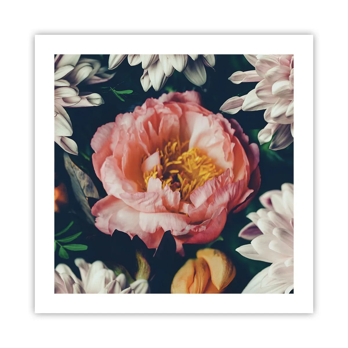 Plakát - S barokním přepychem - 50x50 cm