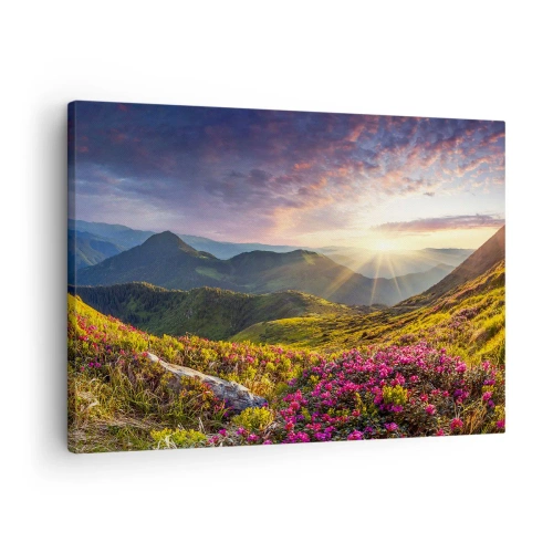 Obraz na plátně - Horská krajina s kvetoucími rododendrony - 70x50cm - Svěžest horského rána - Moderní nástěnná dekorace do obývacího pokoje a ložnice ARTTOR