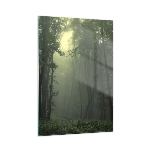 Obraz na skle - Než se probudí - 50x70 cm