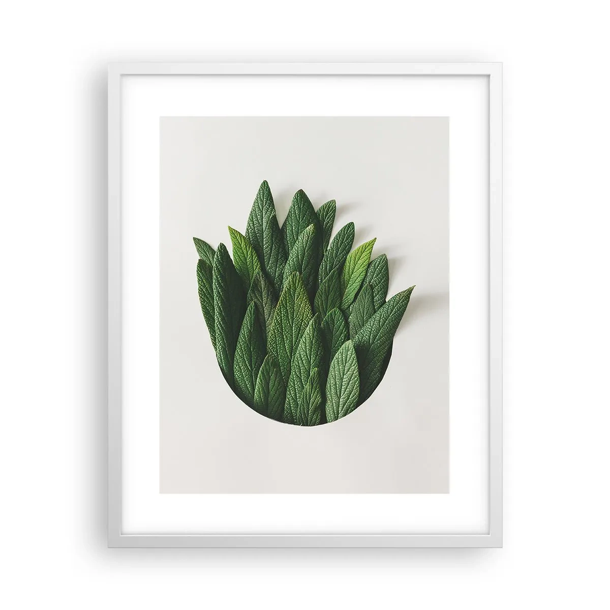 Plakát v bílém rámu - Neukojitelná zvědavost - 40x50 cm