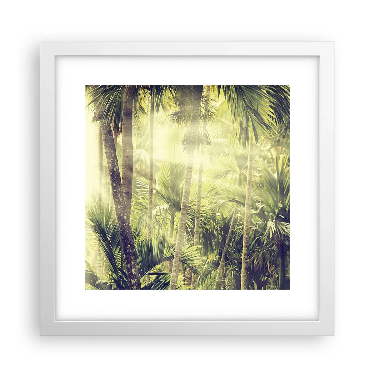 Plakát v bílém rámu - V zeleném žáru - 30x30 cm