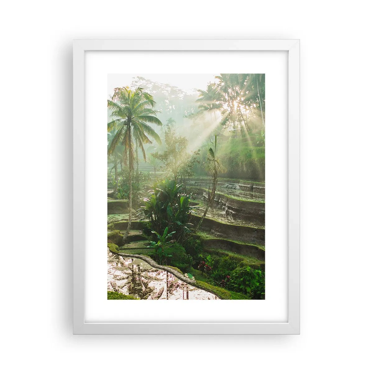 Plakát v bílém rámu - Vyrůstát na slunci - 30x40 cm