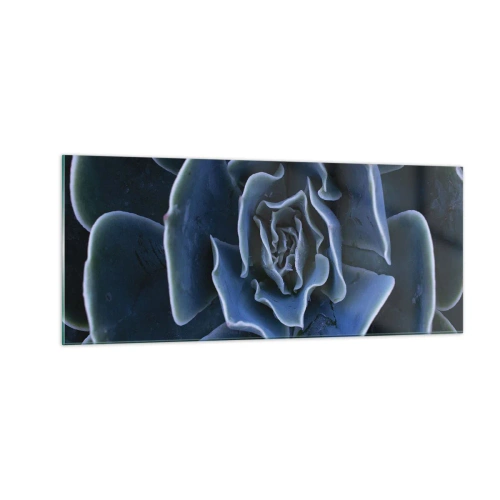 Obraz na skle - Pouštní květ - 100x40 cm