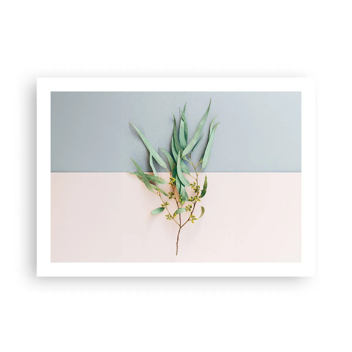 Plakát - Pastelová jemnost - 70x50 cm