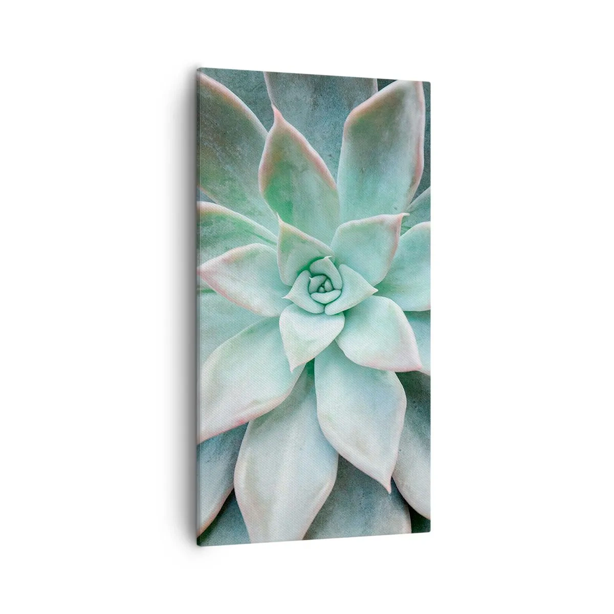 Obraz na plátně - Srdce pouště - 55x100 cm