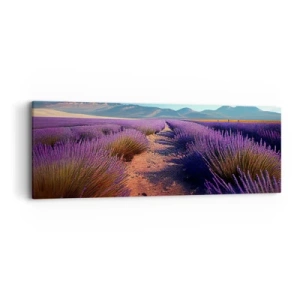Obraz na plátně - Voňavá pole - 90x30 cm