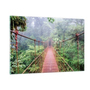 Obraz na skle - Zavěšený nad korunami - 120x80 cm