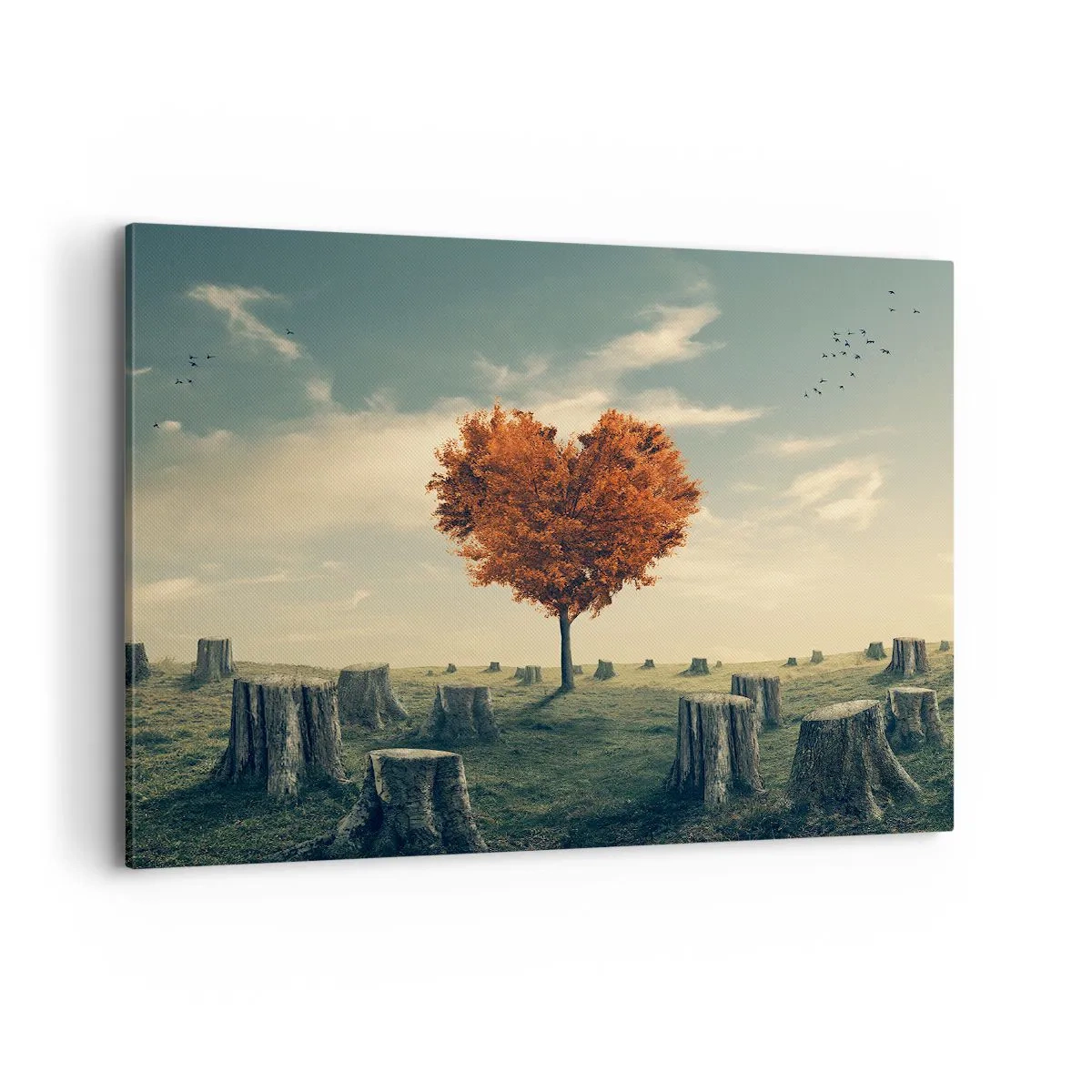 Obraz na plátně - Pořád je ještě naděje - 100x70 cm