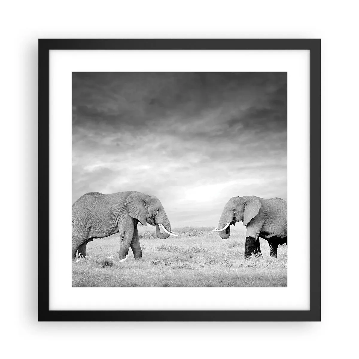 Plakát v černém rámu - Šedá je krásná - 40x40 cm