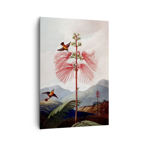 Obraz na plátně - V tropickém ráji - 70x100 cm