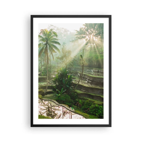 Plakát v černém rámu - Tropická krajina s rýžovými terasami a sluncem - 50x70cm - Vyrůstát na slunci - Moderní nástěnná dekorace do obývacího pokoje a ložnice ARTTOR