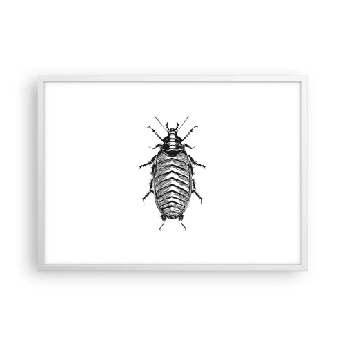 Plakát v bílém rámu - Vzorový exemplář! - 70x50 cm