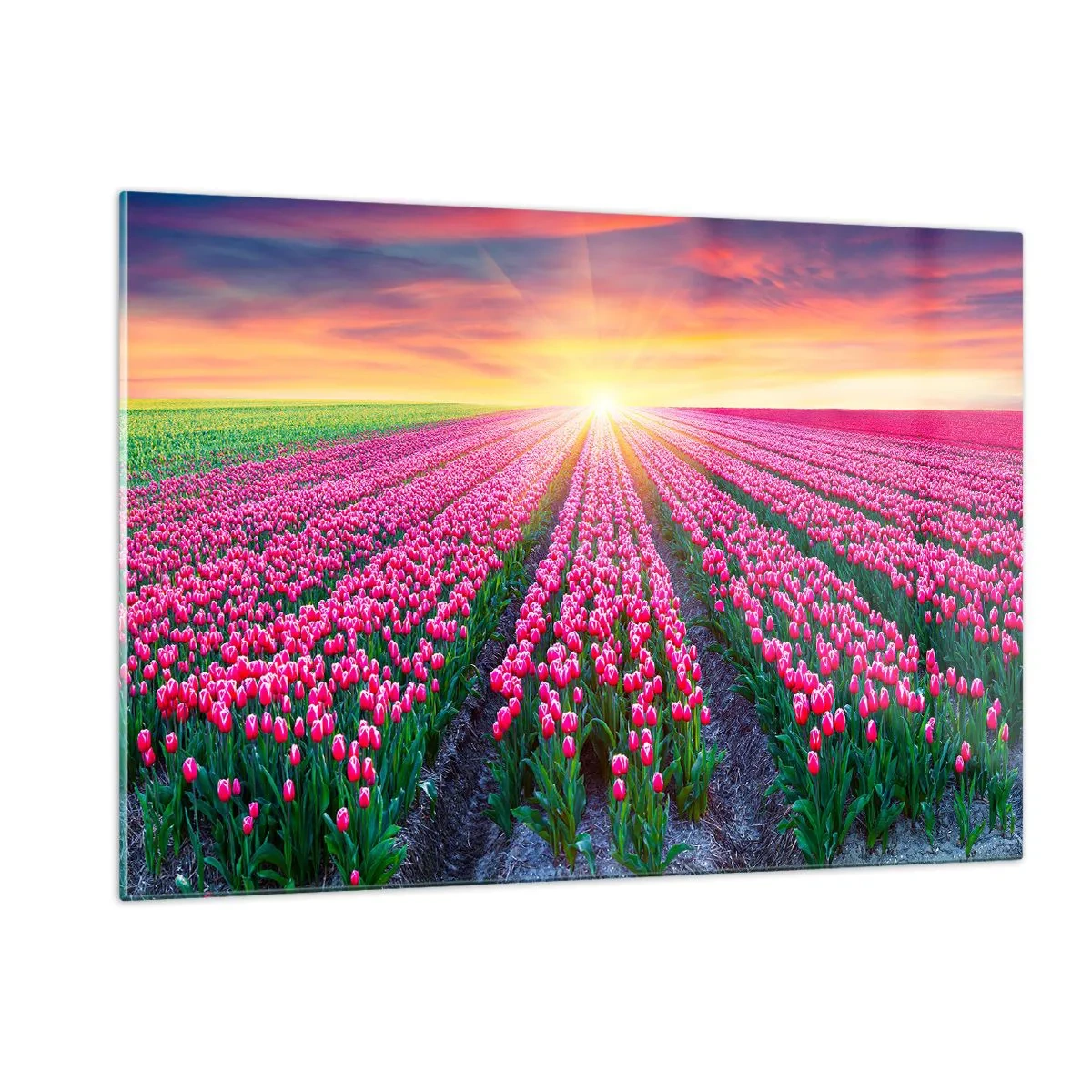 Obraz na skle - Farma krásy - 120x80 cm