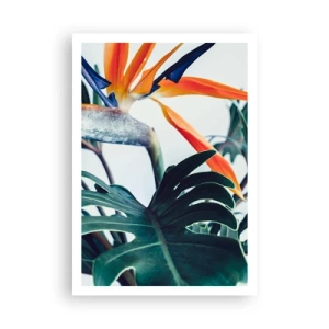 Plakát - Ptákeř - 70x100 cm