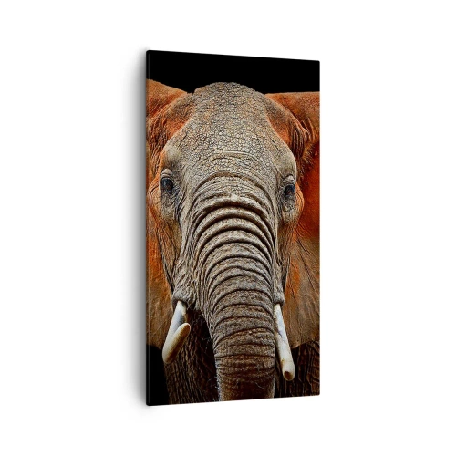 Obraz na plátně - Jsem divoký, a ty? - 55x100 cm