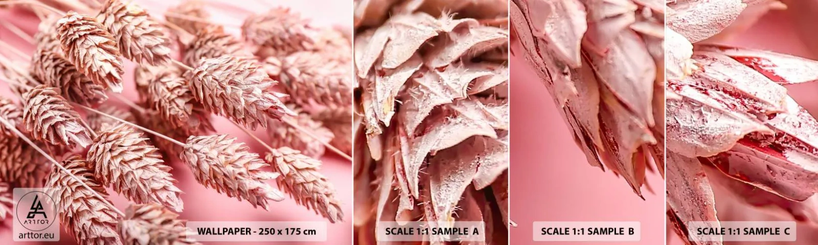 Fototapeta Vzorek Standard Eco - Květinová kaskáda v růžové - Sušené květiny, Kytice květin, Květiny - 100x30 cm