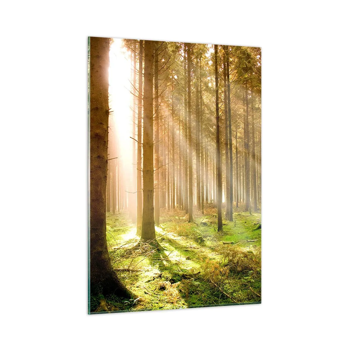 Obraz na skle - Brzy se objeví elfové - 50x70 cm