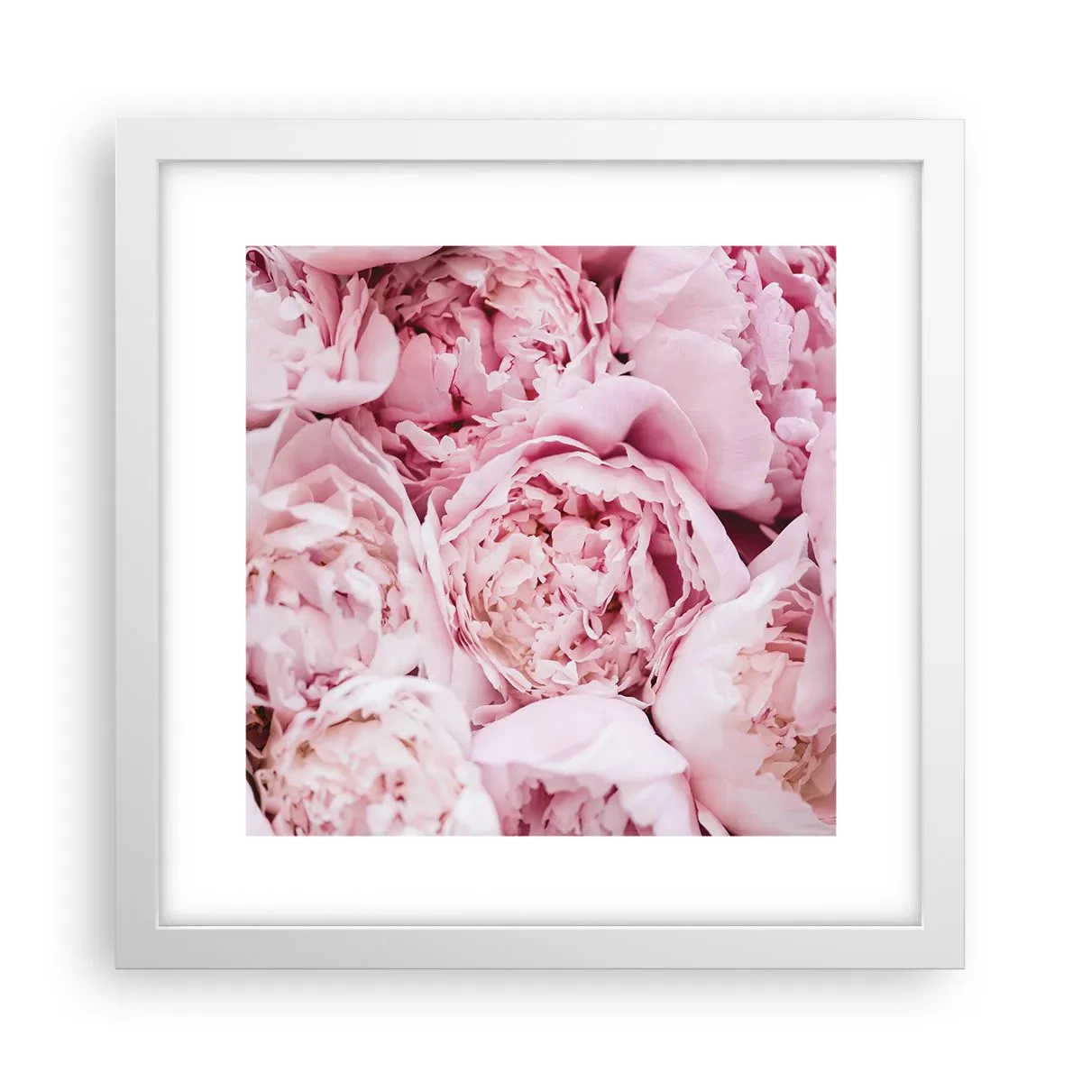 Plakát v bílém rámu - Přitulené a voňavé - 30x30 cm