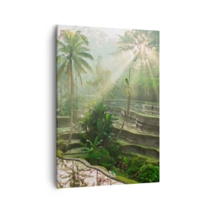 Obraz na plátně - Vyrůstát na slunci - 50x70 cm