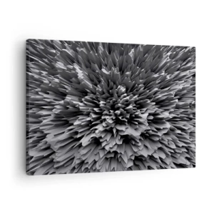 Obraz na plátně - Abstraktní struktura v odstínech šedé - 70x50cm - Ostřejší to už nebude - Moderní nástěnná dekorace do obývacího pokoje a ložnice ARTTOR