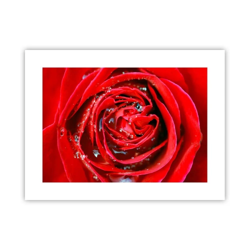 Plakát - V kapkách rosy - 40x30 cm