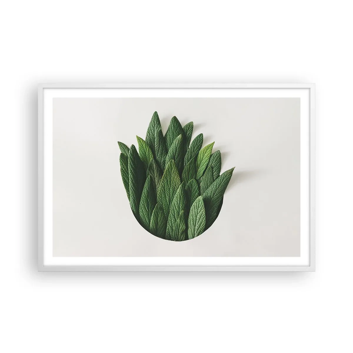 Plakát v bílém rámu - Neukojitelná zvědavost - 91x61 cm