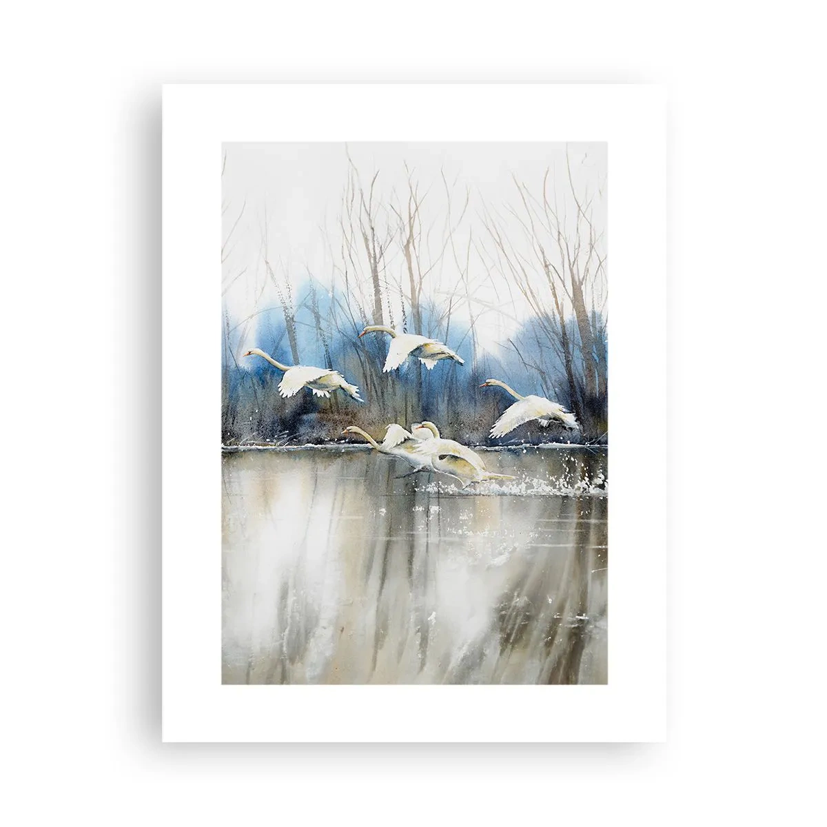 Plakát - Jako v povídce o divokých labutích - 30x40 cm